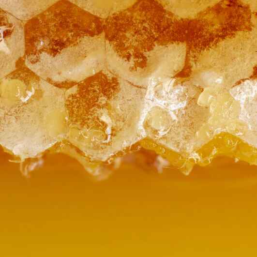 Beeswax